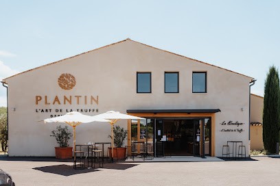 PLANTIN - Boutique & Institut de la Truffe, Epicerie Fine à Puyméras