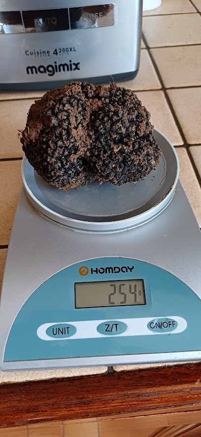 Mignard Claudine, Truffes de Bourgogne, Epicerie Fine à Tanlay