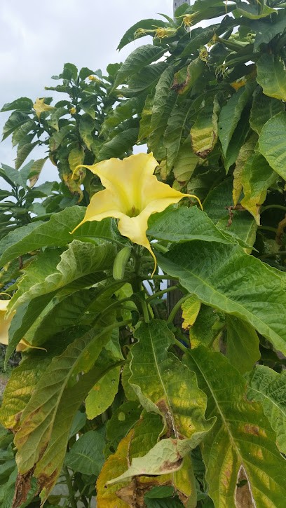 Bianchini Toussaint, Epicerie Fine à Borgo
