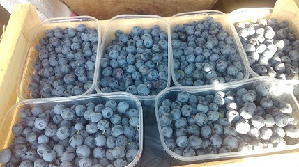 Gaec Les Vergers Bio De Vertougit, Epicerie Fine à Voutezac