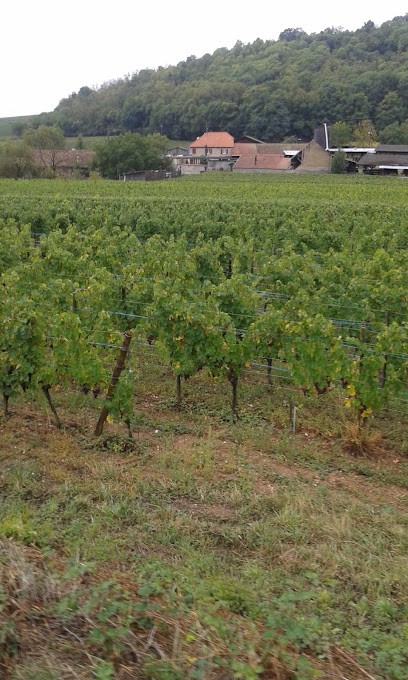 Saveurs et Terroirs, Epicerie Fine à Westhalten