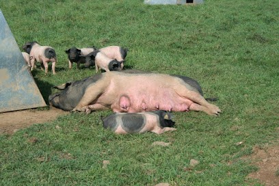 lamaisonducul noir, Epicerie Fine à Isle