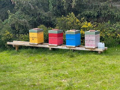Les Ruches Des Fées, Épicerie Fine à Lapoutroie