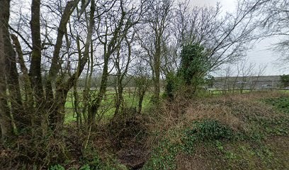 Fleur Cognac, Epicerie Fine à Salles-sur-Mer