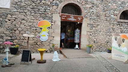 La Boutique Du Champignon, Epicerie Fine à Villefranche-de-Conflent