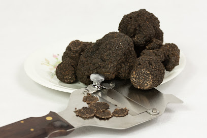 Truffes De Montcuq, Épicerie Fine au Porte-du-Quercy
